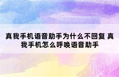 真我手机语音助手为什么不回复 真我手机怎么呼唤语音助手